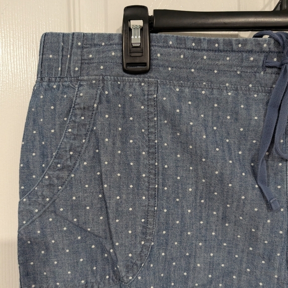 Talbots Chambray with White Polka Dots Casual Shorts in 16 - Picture 2 of 11